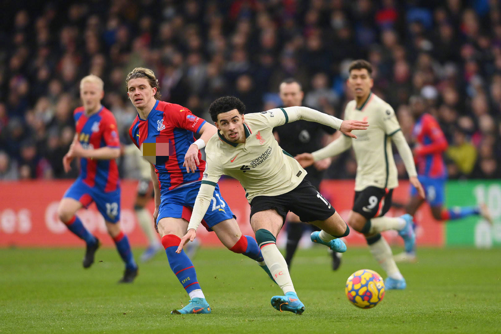 格素来注重 格素来注重